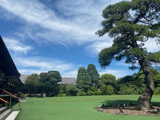 IMG_7152 (1).jpg