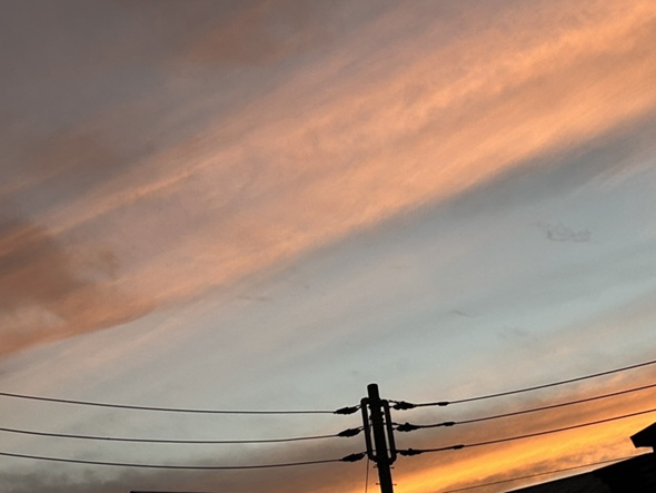 585594836804436344 (1).jpg